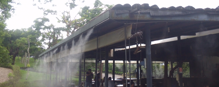 大棚噴霧加濕系統的必要性