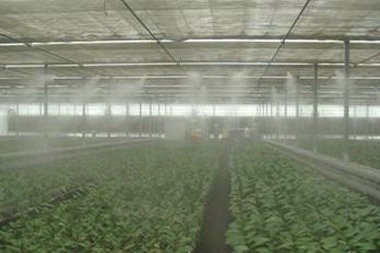 現代農業種植對于工業加濕器的使用
