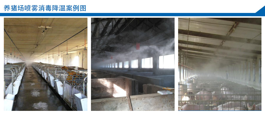 養豬場噴霧消毒降溫案例