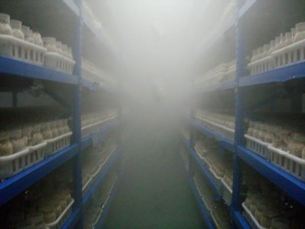 u=914267965,608316924&fm=214&gp=0 u=914267965,608316924&fm=214&gp=0