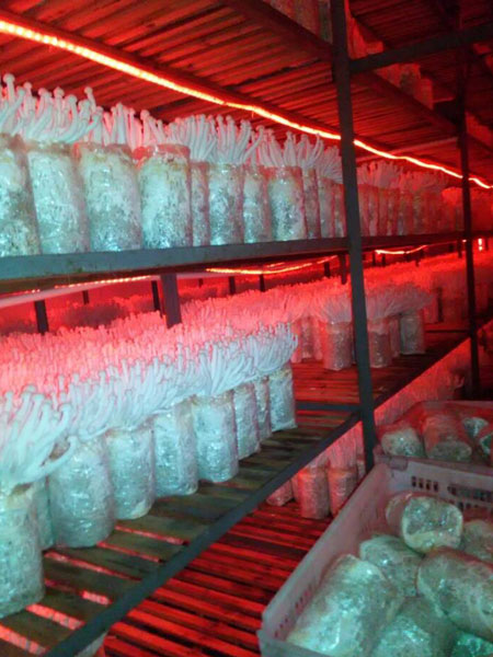 未標題-2 未標題-2